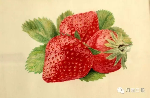 河南日报1.webp.jpg