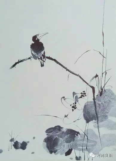 河南日报2.webp.jpg